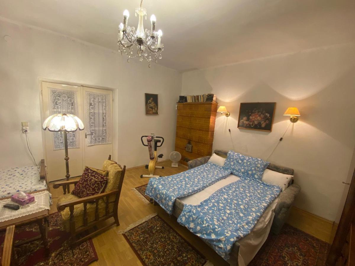 Grany'S Retro Guesthouse Near Budapest Airport Vecsés Eksteriør billede